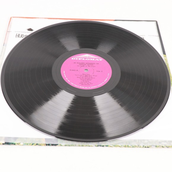 Jay Dodds 20 Golden Moments Of Organ Music 1977 Music 12" Vinyl LP Record DS 242 - Picture 8 of 8